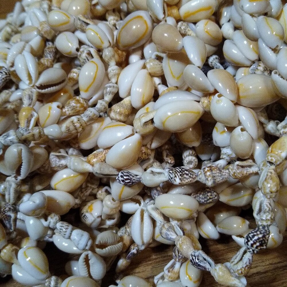 Lot Of Over 20 Shell Necklaces